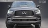 2023 Infiniti QX80 PROACTIVE TRIM