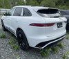 2025 Jaguar F-PACE P250 R-Dynamic S Auto