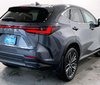 2022 Lexus NX 350