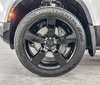 2026  Defender X-Dynamic SE