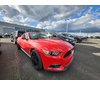 Ford Mustang EcoBoost + PERFORMANCE PACK + 310HP + CAM + + 2015