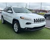 Jeep Cherokee North 2018