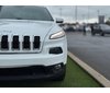Jeep Cherokee North 2018