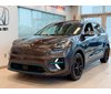 2019 Kia Niro EV SX Touring