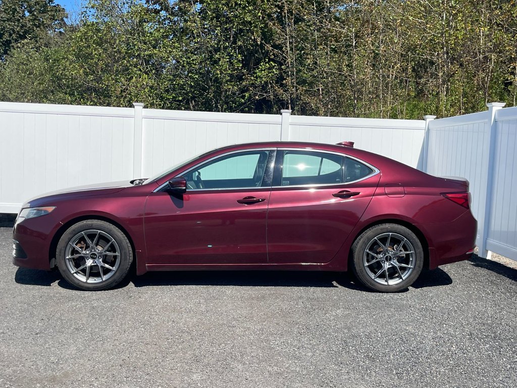 2015 Acura TLX V6 Tech | NAV | AWD | Sunroof | Cam | USB in Saint John, New Brunswick - 6 - w1024h768px