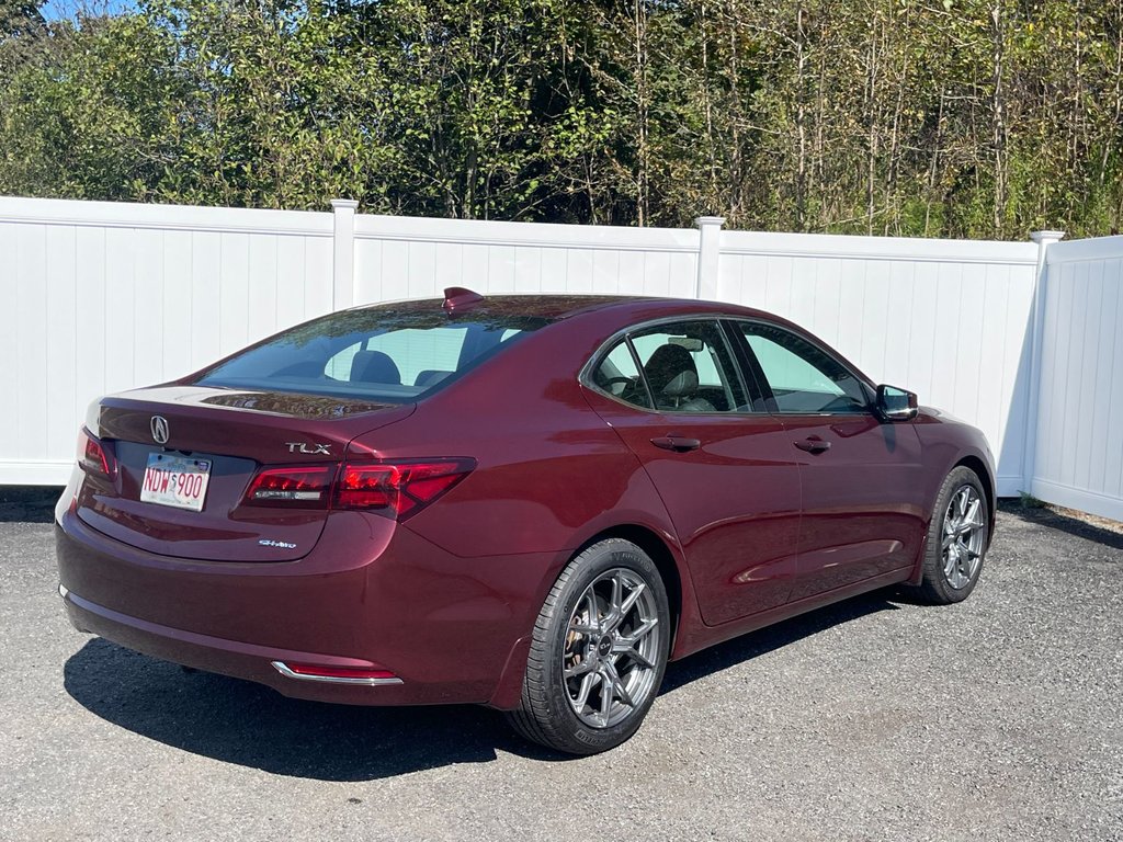 2015 Acura TLX V6 Tech | NAV | AWD | Sunroof | Cam | USB in Saint John, New Brunswick - 3 - w1024h768px