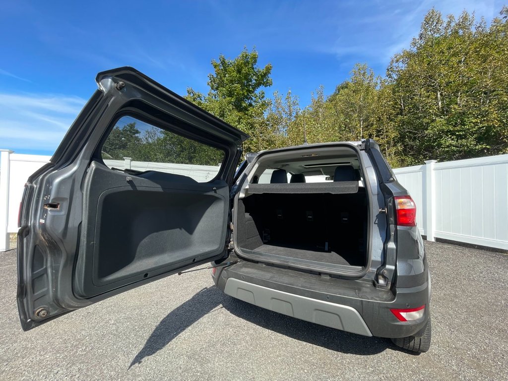 2020 Ford EcoSport in Antigonish, Nova Scotia - 30 - w1024h768px
