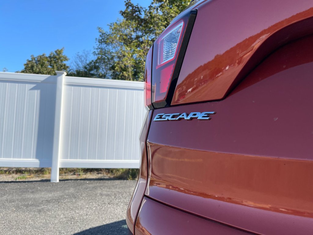2019 Ford Escape SEL | Leather | Cam | USB | Htd Seats | in Saint John, New Brunswick - 43 - w1024h768px