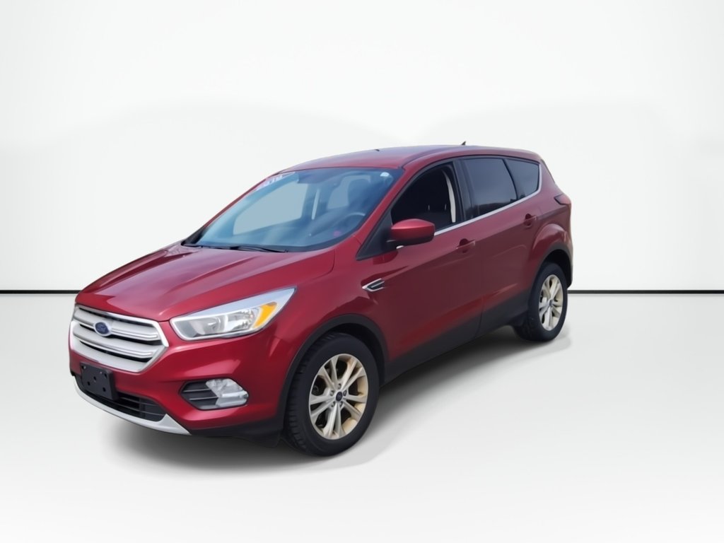 2019 Ford Escape SE | Cam | USB in Saint John, New Brunswick - 4 - w1024h768px