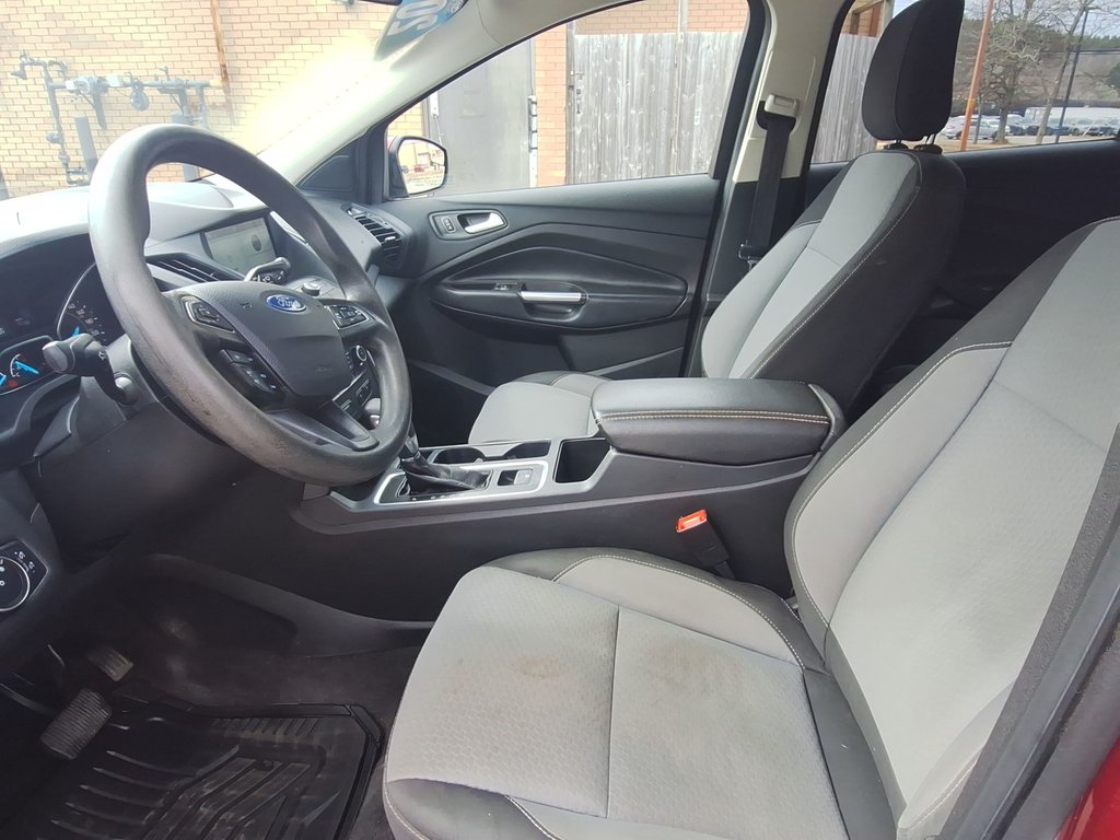 2019 Ford Escape SE | Cam | USB in Saint John, New Brunswick - 13 - w1024h768px