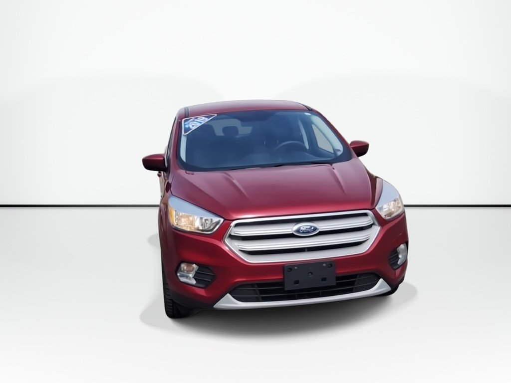 2019 Ford Escape SE | Cam | USB in Saint John, New Brunswick - 3 - w1024h768px