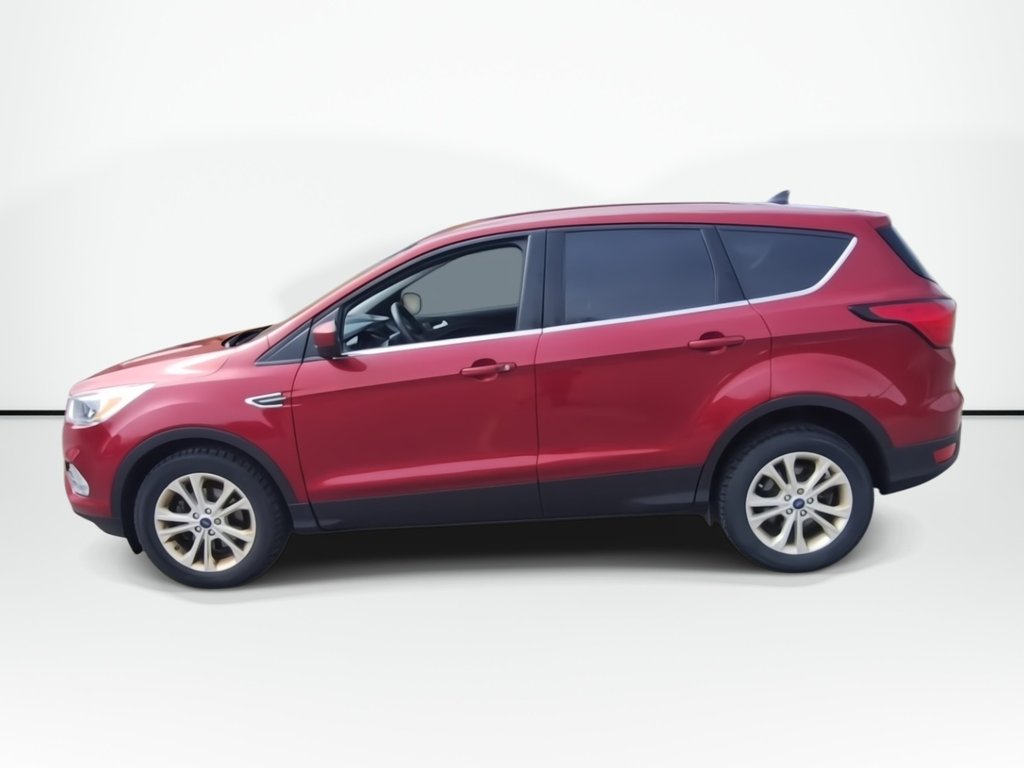 2019 Ford Escape SE | Cam | USB in Saint John, New Brunswick - 5 - w1024h768px