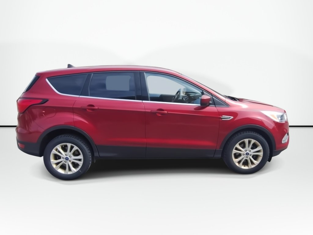 2019 Ford Escape SE | Cam | USB in Saint John, New Brunswick - 9 - w1024h768px