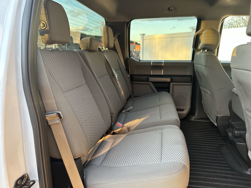 2017 Ford F-150 in Antigonish, Nova Scotia - 38 - w1024h768px