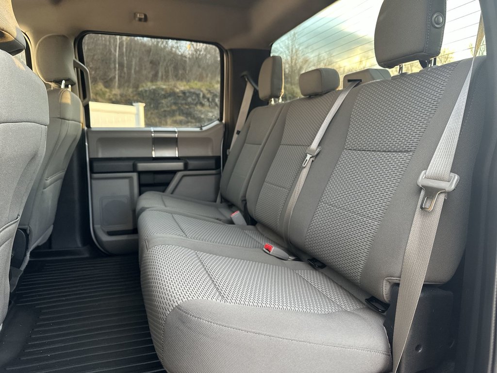 2017 Ford F-150 in Antigonish, Nova Scotia - 31 - w1024h768px
