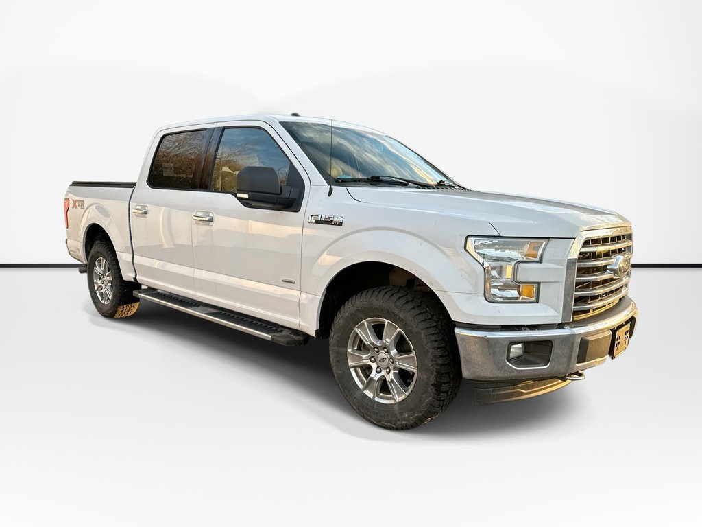 2017 Ford F-150 in Antigonish, Nova Scotia - 1 - w1024h768px