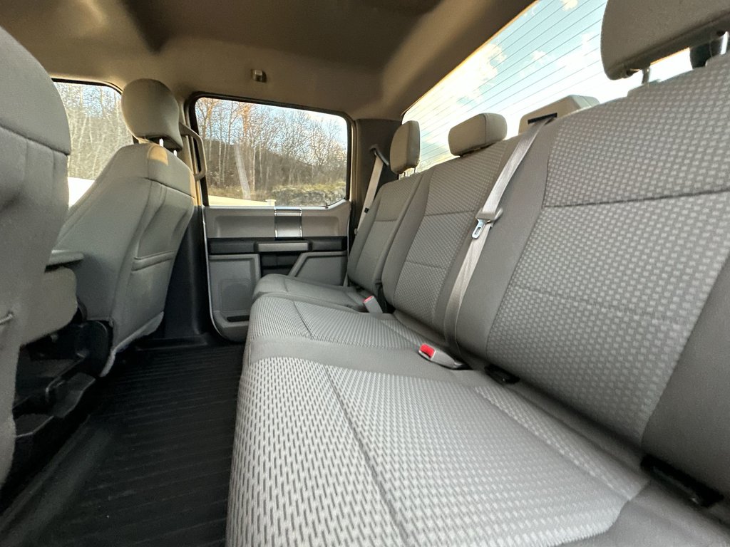 2017 Ford F-150 in Antigonish, Nova Scotia - 32 - w1024h768px