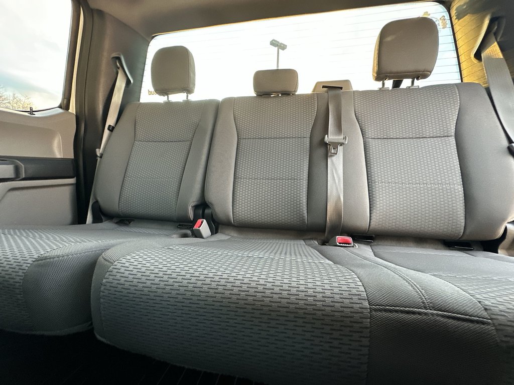 2017 Ford F-150 in Antigonish, Nova Scotia - 33 - w1024h768px