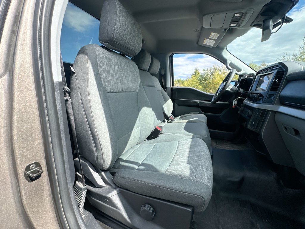 2021 Ford F-150 XLT Reg Cab | 4X4 | Cam | USB in Saint John, New Brunswick - 39 - w1024h768px