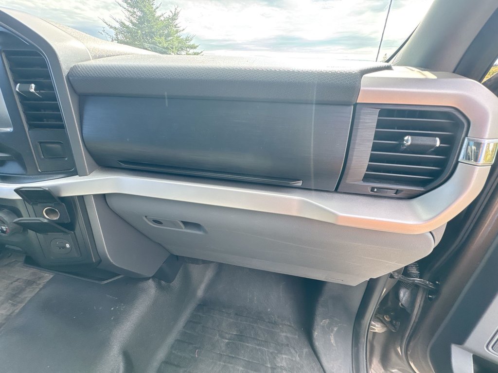 2021 Ford F-150 XLT Reg Cab | 4X4 | Cam | USB in Saint John, New Brunswick - 44 - w1024h768px