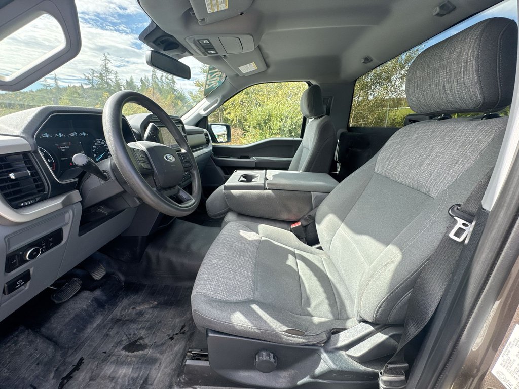 2021 Ford F-150 XLT Reg Cab | 4X4 | Cam | USB in Saint John, New Brunswick - 13 - w1024h768px
