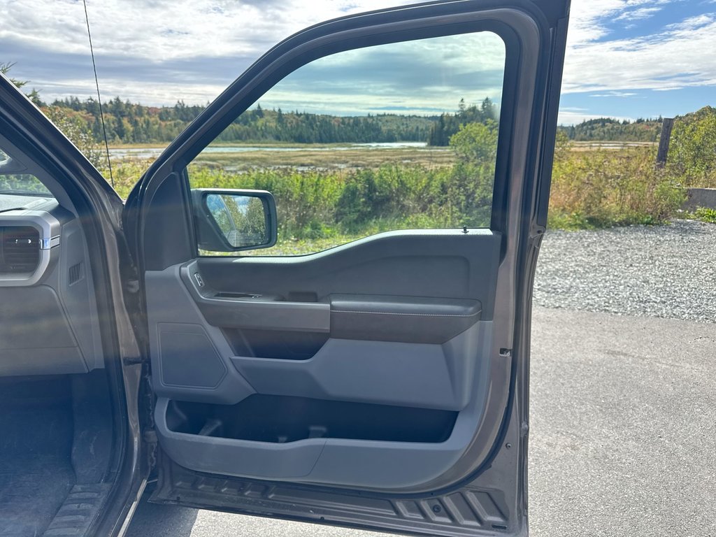 2021 Ford F-150 XLT Reg Cab | 4X4 | Cam | USB in Saint John, New Brunswick - 41 - w1024h768px