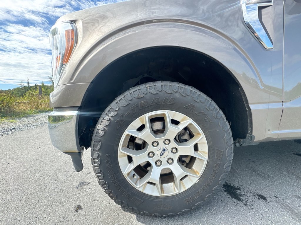 2021 Ford F-150 XLT Reg Cab | 4X4 | Cam | USB in Saint John, New Brunswick - 10 - w1024h768px