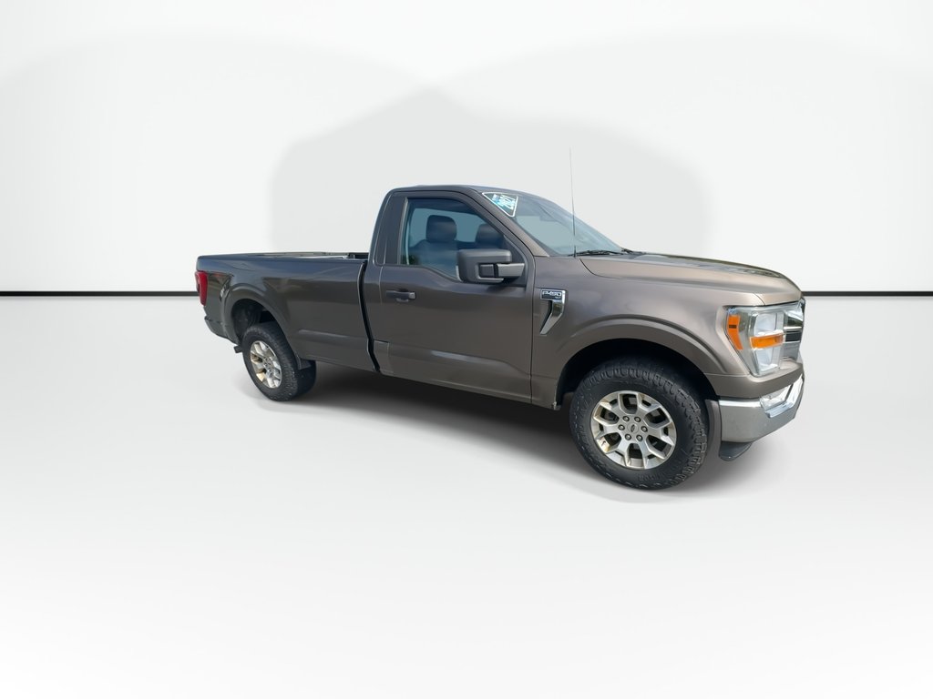 2021 Ford F-150 XLT Reg Cab | 4X4 | Cam | USB in Saint John, New Brunswick - 2 - w1024h768px