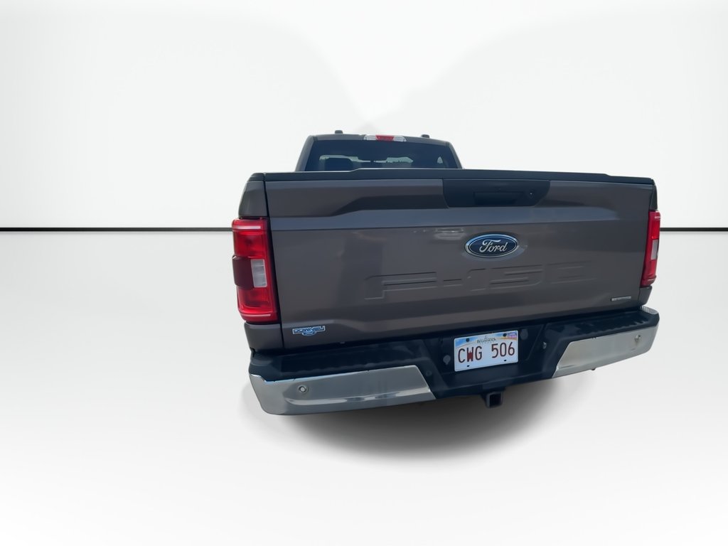 2021 Ford F-150 XLT Reg Cab | 4X4 | Cam | USB in Saint John, New Brunswick - 7 - w1024h768px