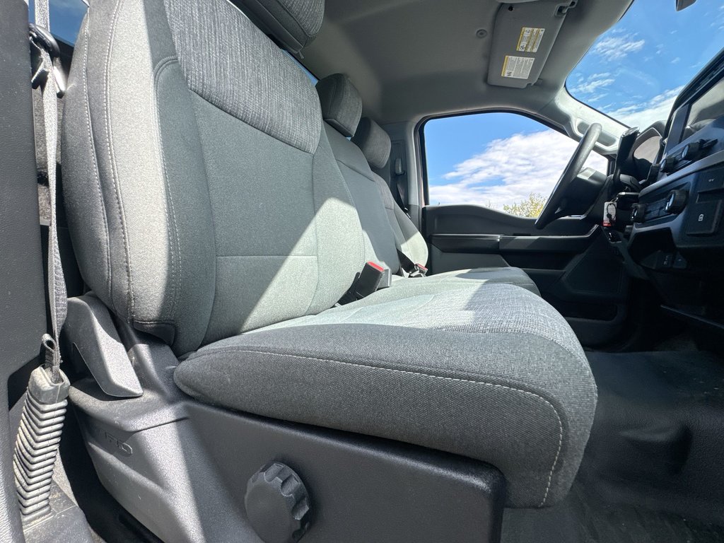 2021 Ford F-150 XLT Reg Cab | 4X4 | Cam | USB in Saint John, New Brunswick - 40 - w1024h768px