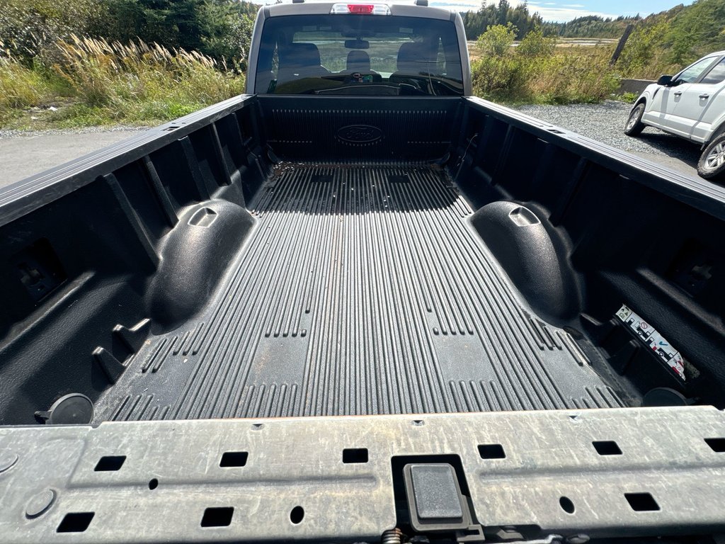 2021 Ford F-150 XLT Reg Cab | 4X4 | Cam | USB in Saint John, New Brunswick - 37 - w1024h768px