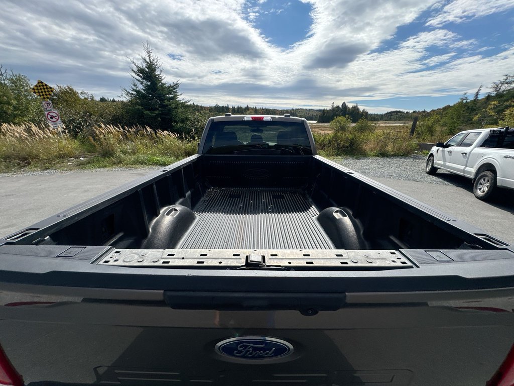 2021 Ford F-150 XLT Reg Cab | 4X4 | Cam | USB in Saint John, New Brunswick - 36 - w1024h768px