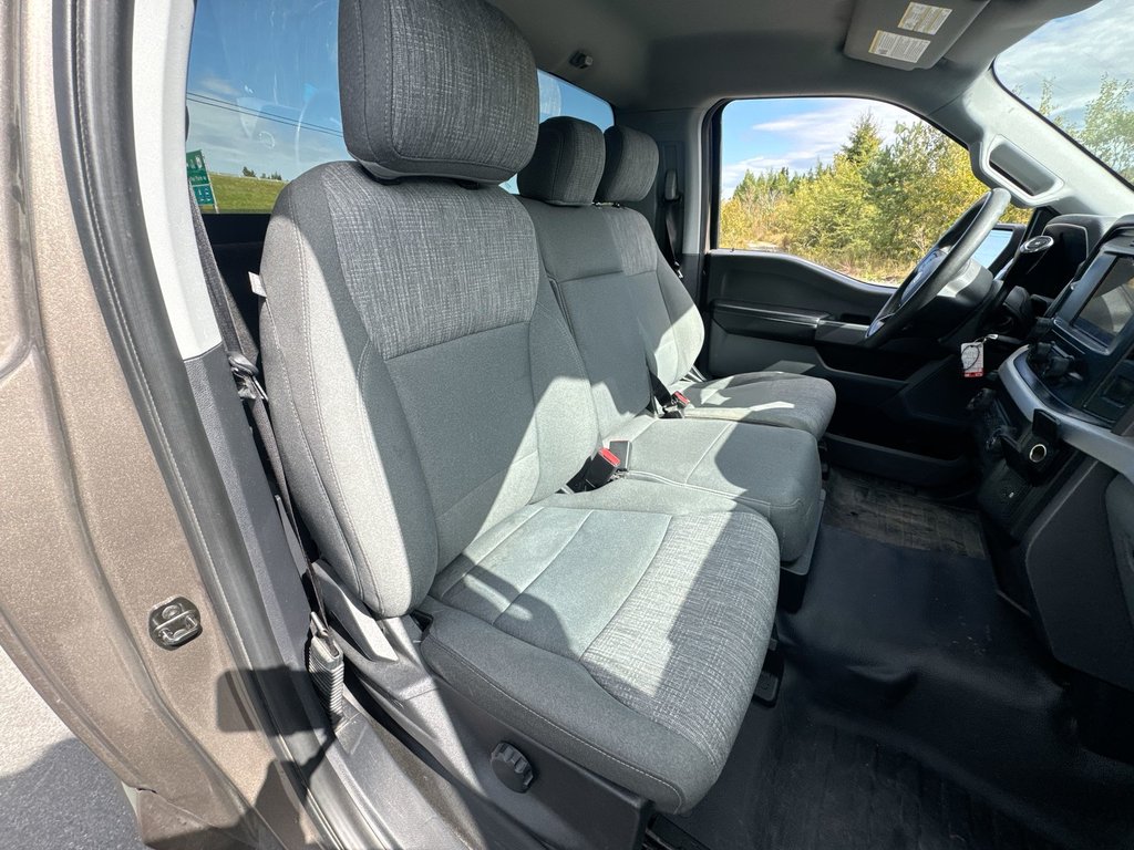 2021 Ford F-150 XLT Reg Cab | 4X4 | Cam | USB in Saint John, New Brunswick - 42 - w1024h768px