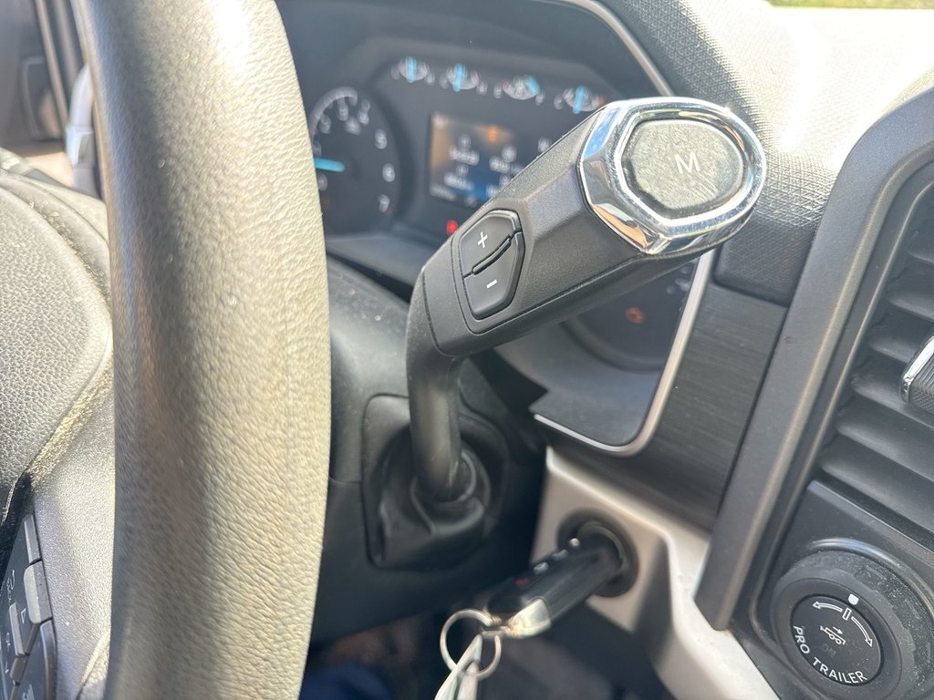 2021 Ford F-150 XLT Reg Cab | 4X4 | Cam | USB in Saint John, New Brunswick - 29 - w1024h768px