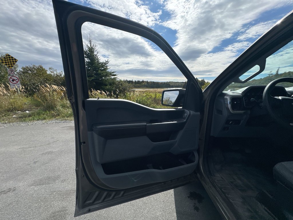 2021 Ford F-150 XLT Reg Cab | 4X4 | Cam | USB in Saint John, New Brunswick - 35 - w1024h768px