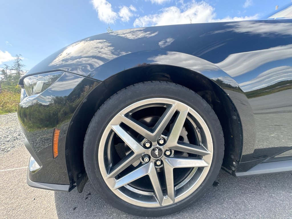 2024 Ford MUSTANG ECOBOOST | Cam | USB | Warranty to 2029 in Saint John, New Brunswick - 10 - w1024h768px