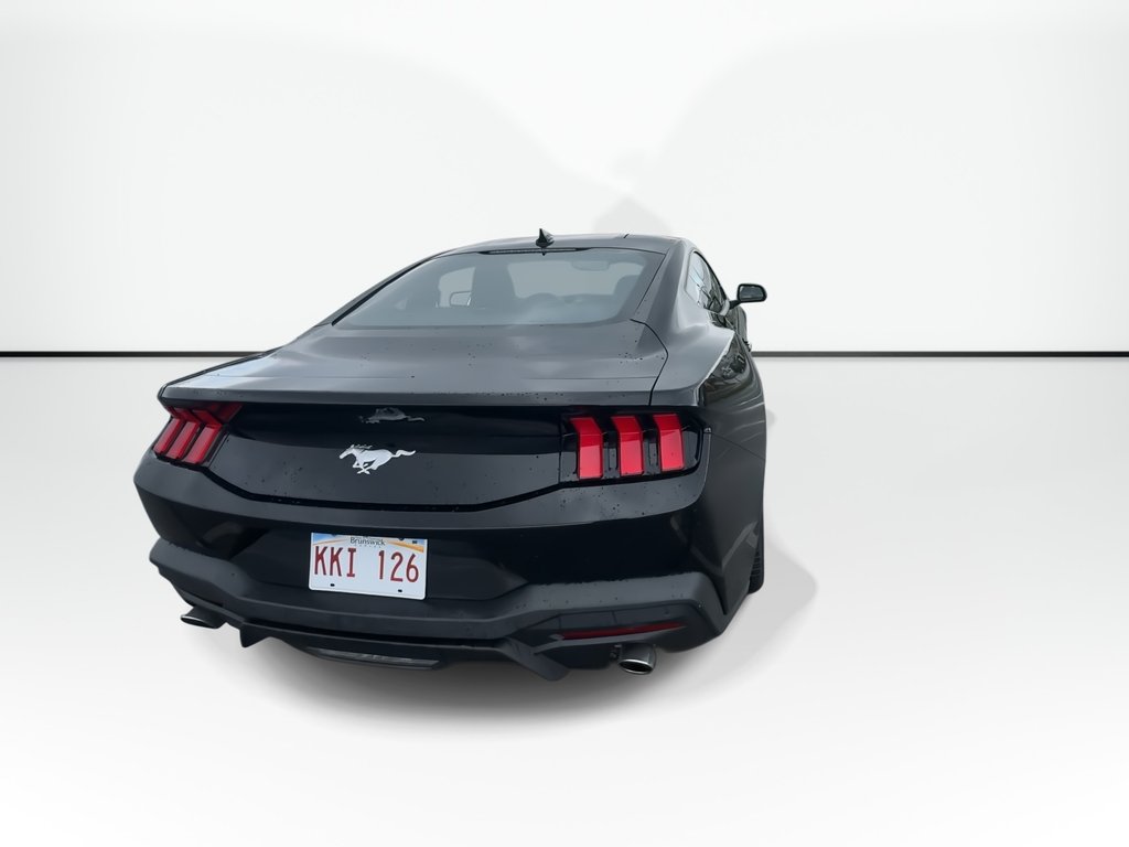 Ford MUSTANG ECOBOOST | Cam | USB | Warranty to 2029 2024 à Saint John, Nouveau-Brunswick - 7 - w1024h768px