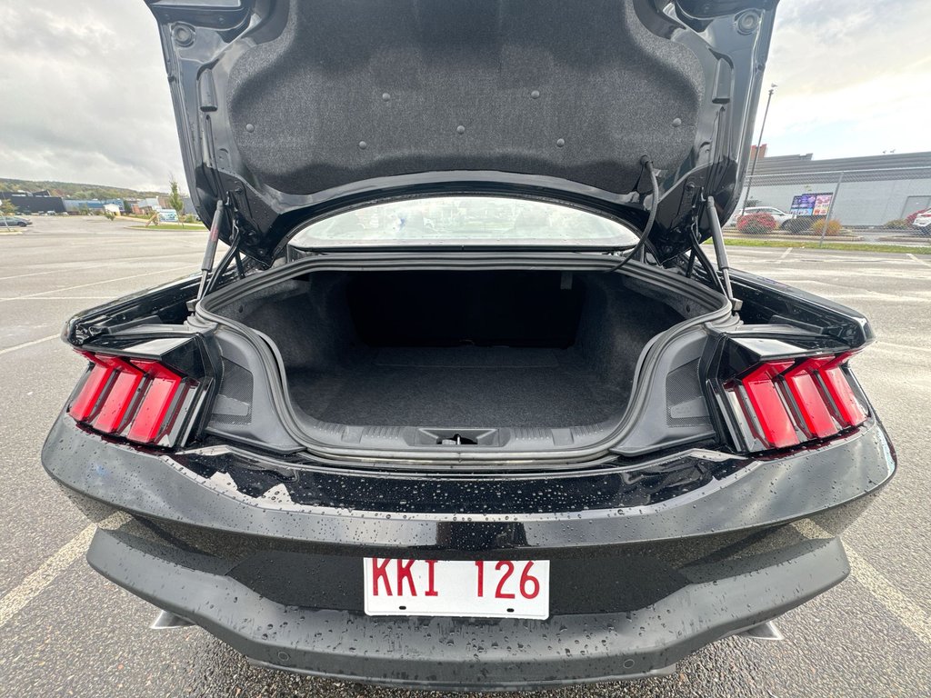 Ford MUSTANG ECOBOOST | Cam | USB | Warranty to 2029 2024 à Saint John, Nouveau-Brunswick - 36 - w1024h768px