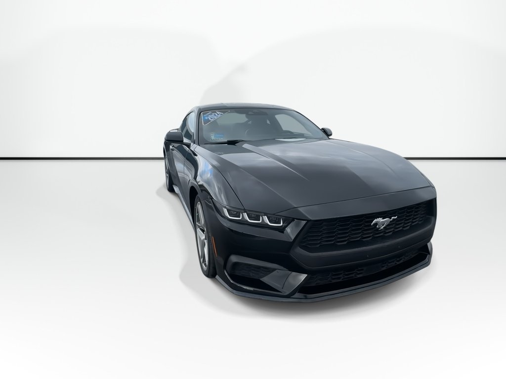 Ford MUSTANG ECOBOOST | Cam | USB | Warranty to 2029 2024 à Saint John, Nouveau-Brunswick - 2 - w1024h768px