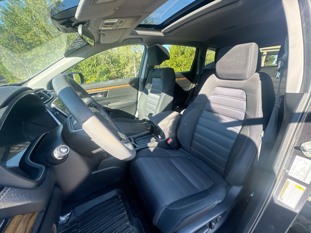 2019 Honda CR-V in Antigonish, Nova Scotia - 11 - w1024h768px
