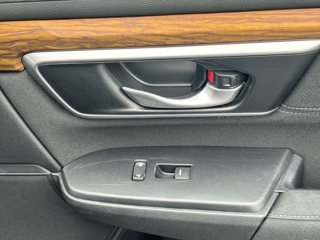 2019 Honda CR-V EX | Roof | Cam | USB | Htd Seats in Saint John, New Brunswick - 46 - w1024h768px