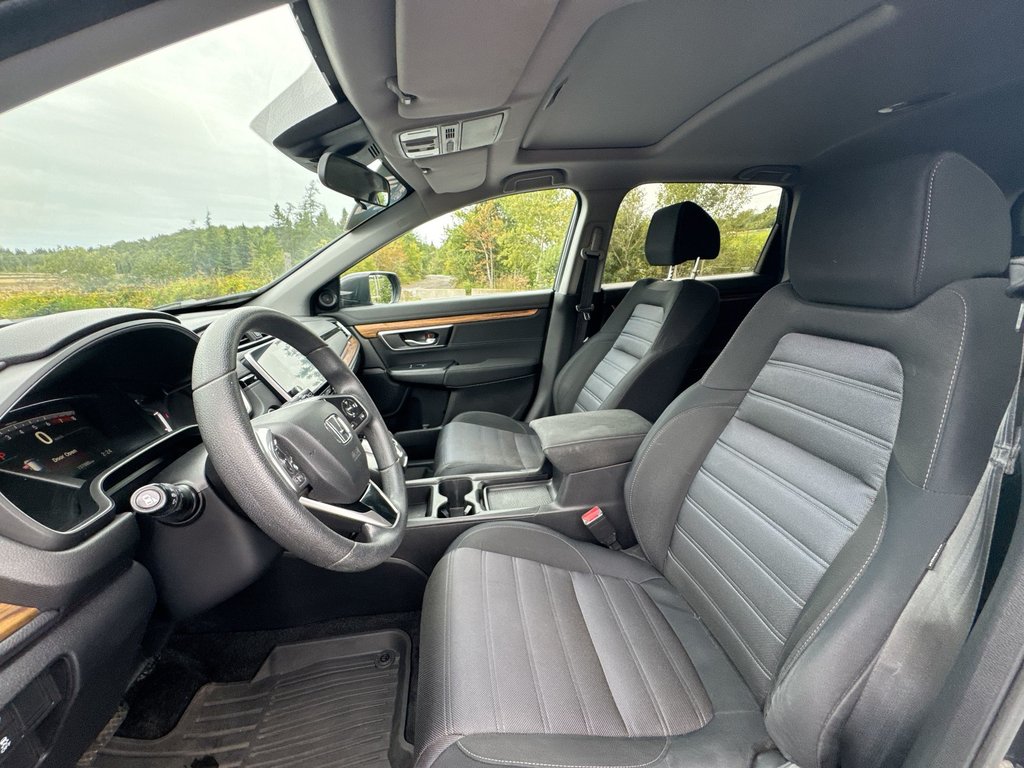 2019 Honda CR-V EX | Roof | Cam | USB | Htd Seats in Saint John, New Brunswick - 13 - w1024h768px