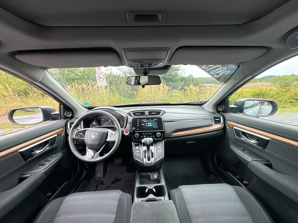 2019 Honda CR-V EX | Roof | Cam | USB | Htd Seats in Saint John, New Brunswick - 16 - w1024h768px