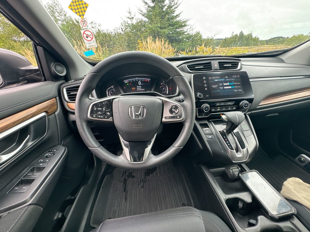 2019 Honda CR-V EX | Roof | Cam | USB | Htd Seats in Saint John, New Brunswick - 12 - w1024h768px
