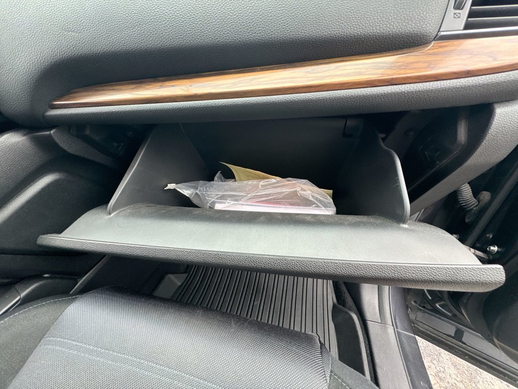2019 Honda CR-V EX | Roof | Cam | USB | Htd Seats in Saint John, New Brunswick - 43 - w1024h768px