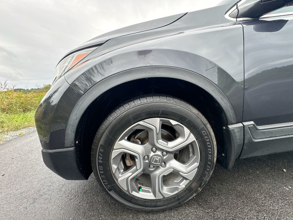 2019 Honda CR-V EX | Roof | Cam | USB | Htd Seats in Saint John, New Brunswick - 10 - w1024h768px