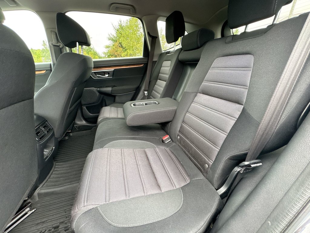 2019 Honda CR-V EX | Roof | Cam | USB | Htd Seats in Saint John, New Brunswick - 33 - w1024h768px
