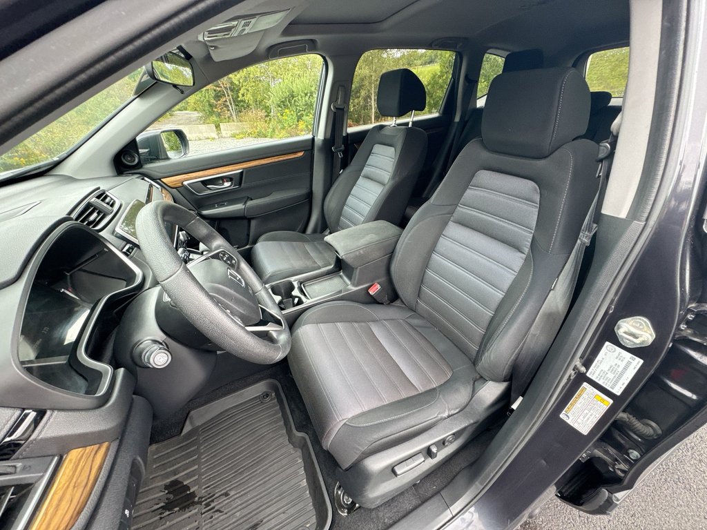 2019 Honda CR-V EX | Roof | Cam | USB | Htd Seats in Saint John, New Brunswick - 11 - w1024h768px