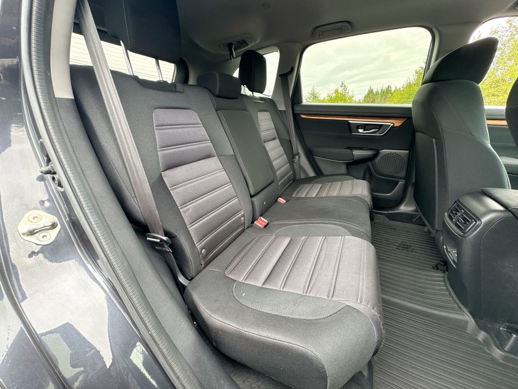2019 Honda CR-V EX | Roof | Cam | USB | Htd Seats in Saint John, New Brunswick - 39 - w1024h768px