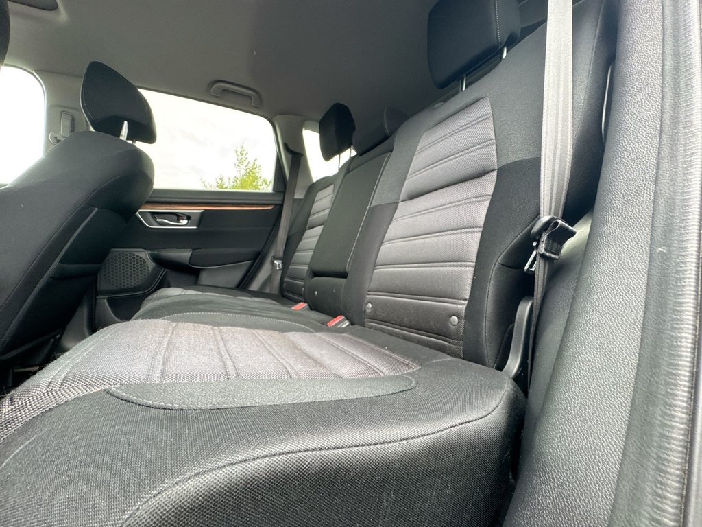 2019 Honda CR-V EX | Roof | Cam | USB | Htd Seats in Saint John, New Brunswick - 34 - w1024h768px
